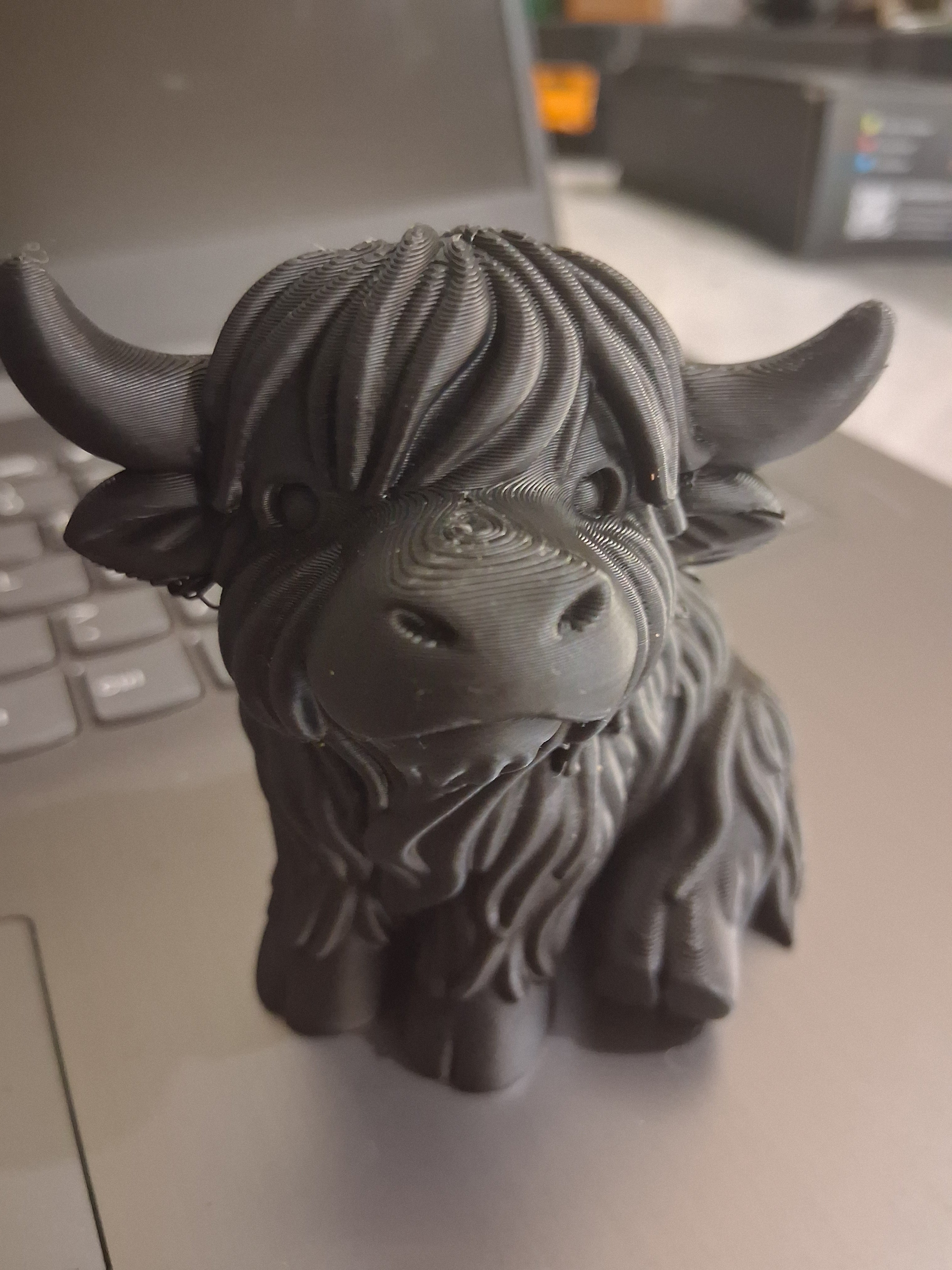 Mooo