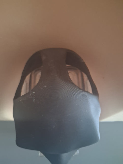 Animal mask